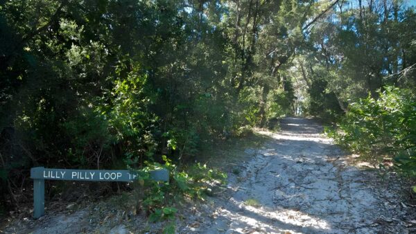 Lillypilly loop trail walk (3. 5km)