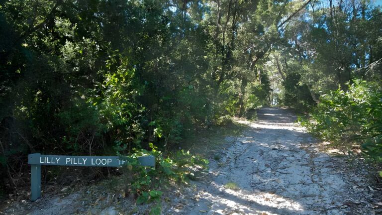 Lillypilly Loop Trail Walk (3.5km) Lillypilly loop trail walk (3. 5km)