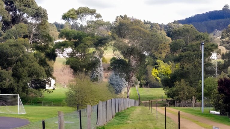 Margate rivulet track (4km)