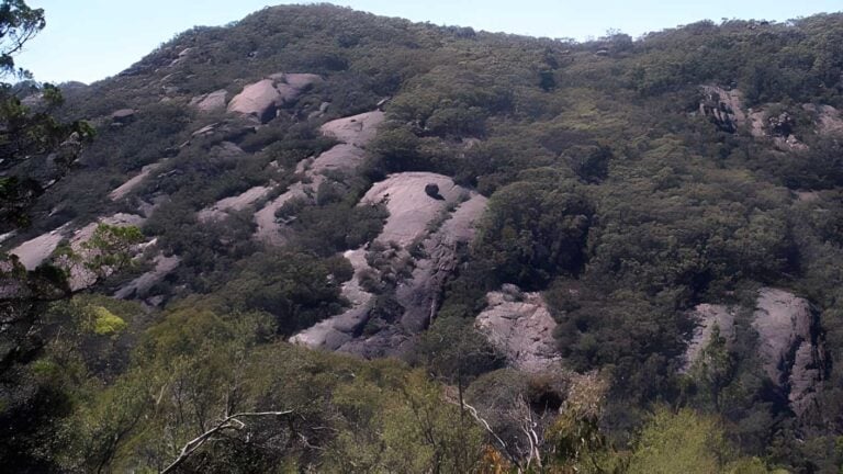 Mount burrowa hike (24km)
