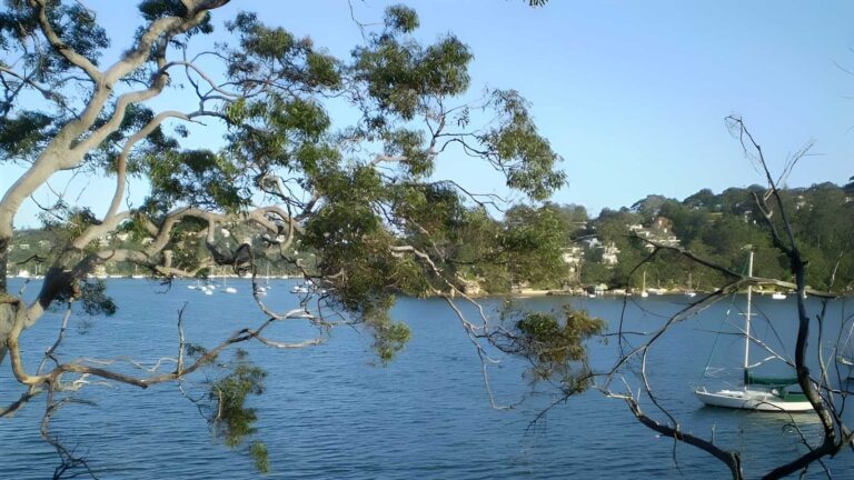 North arm walking track (3. 1km)