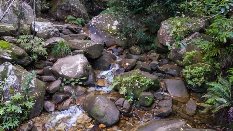 Rodriguez Pass Walking Track (12km) Rodriguez pass walking track (12km)