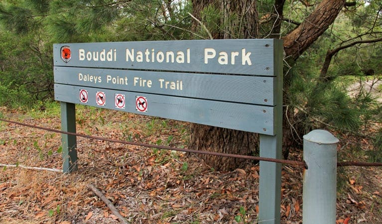 Daleys Point Walking Track (3.2km) Daleys point walking track trail hiking australia
