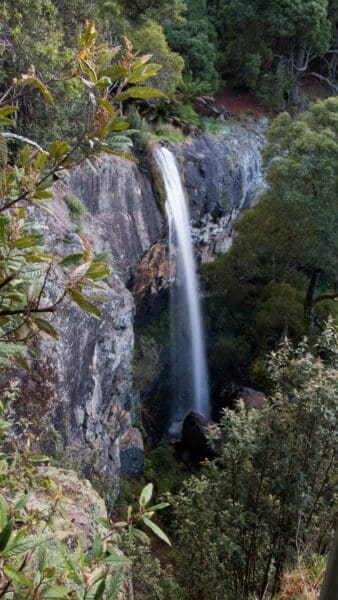 Hikes Delaneys falls 338x600
