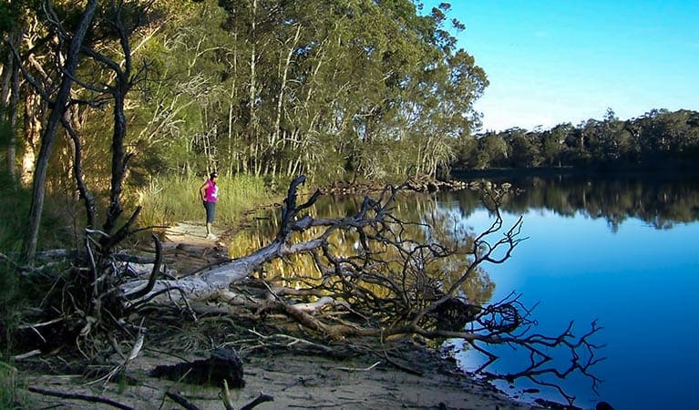 Five Islands Walking Track (2.4km) Five islands walking track trail hiking australia
