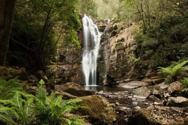 Evercreech Rivulet Falls Walk (3.7km) Mathinna falls 600x400