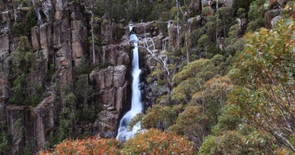 Willies Falls Hike (6km) Wellington falls 600x315