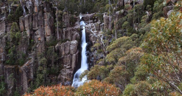 Wellington Falls Hike (12.2km) Wellington falls 768x403
