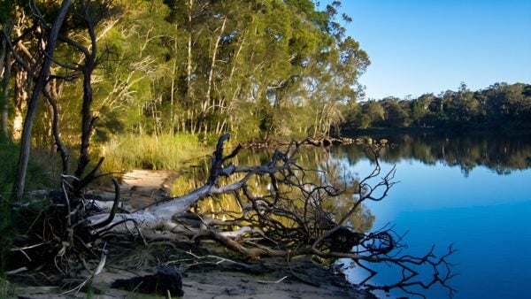 Five islands walking track (2. 4km)