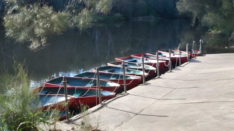 Lane cove weir to boat shed walk (1. 3km)