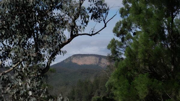 Mount Murga to Mount Nangar Loop Walk (16km) Mount murga to mount nangar loop walk (16km)