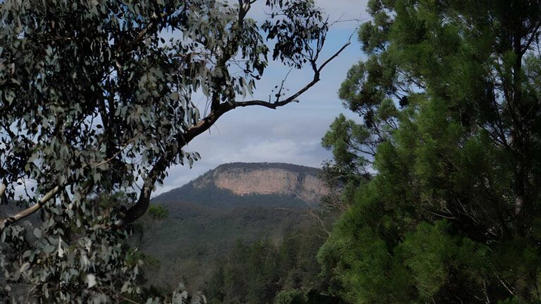Mount murga to mount nangar loop walk (16km)