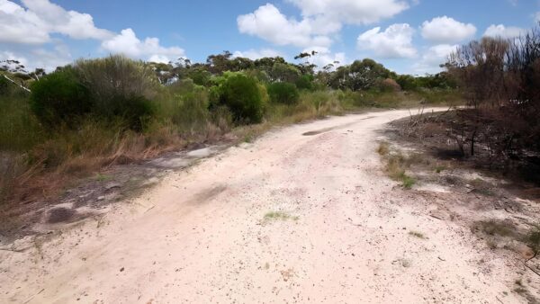 Waratah walking track (10km)