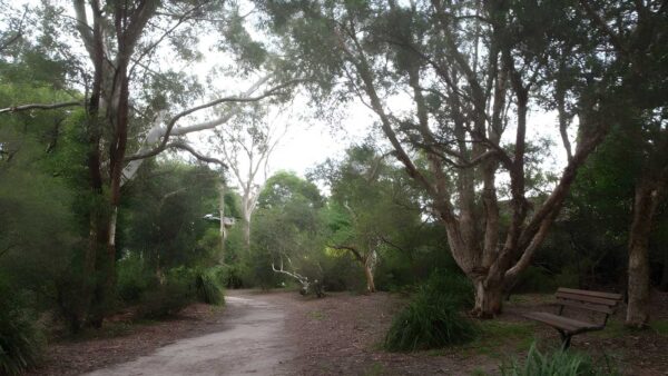 Founders Way Walk (3km) Founders way walk (3km)
