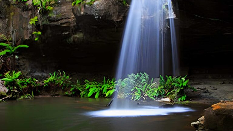 Lorne waterfalls: canyon & castle rock hike (23. 4km)