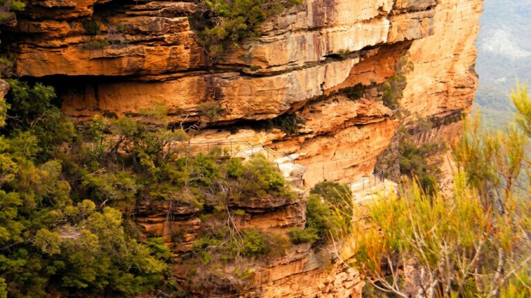 National pass overcliff & den fenella circuit walk (5km)