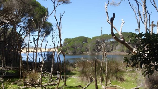 North tura beach to bournda lagoon walk (3. 5km)
