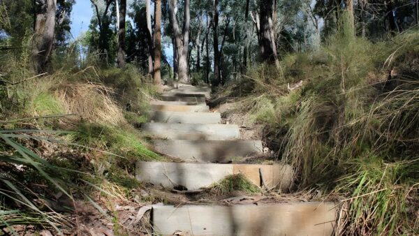 Wallaby walking track (3km)