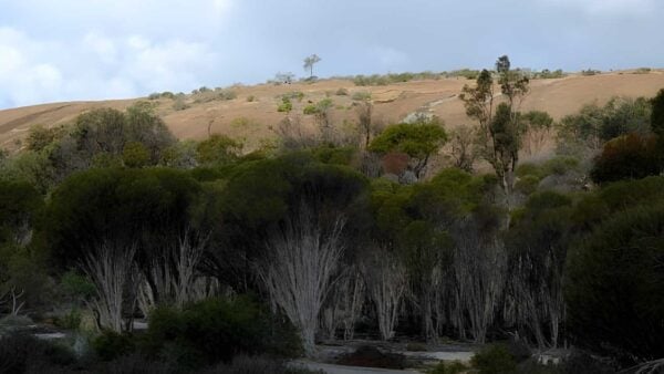 Wave rock walk circuit (3. 6km)