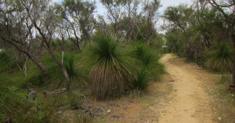 Yaberoo budjara heritage trail 768x403