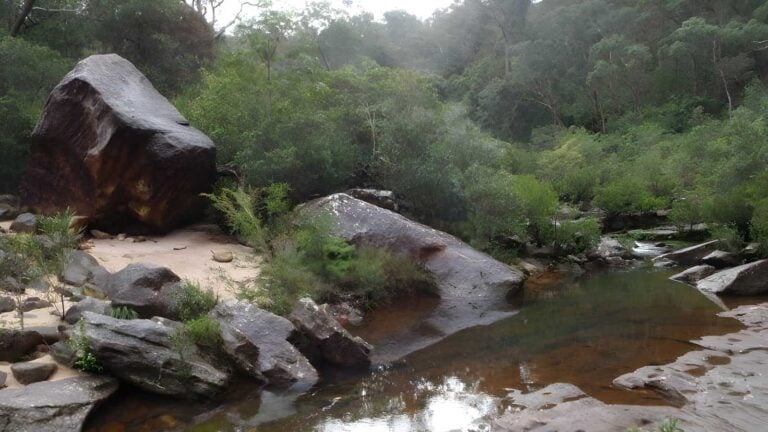 Glenbrook gorge track (1. 7km)