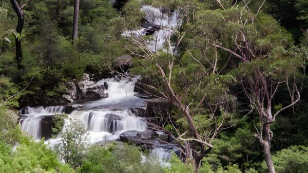 Gloucester falls walking track (1. 8km)
