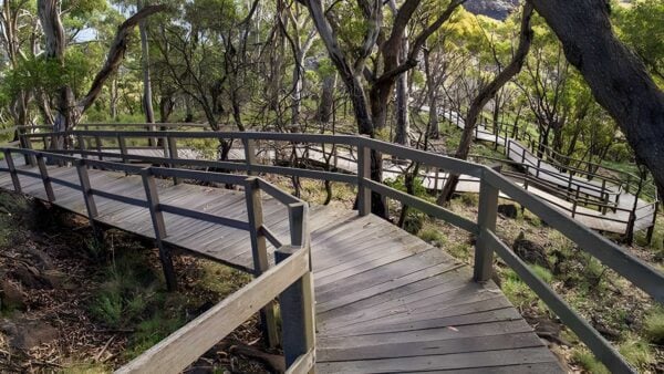 Governor Summit Walking Track (2km) Governor summit walking track (2km)