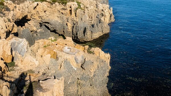 Henderson cliffs trail walk (400m)