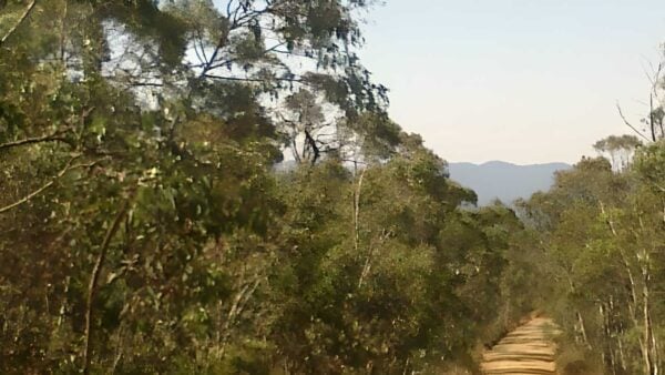 Old Boboyan Road Hike (24km) Old boboyan road hike (24km)