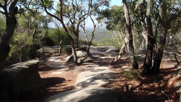 The bluff track (1km)