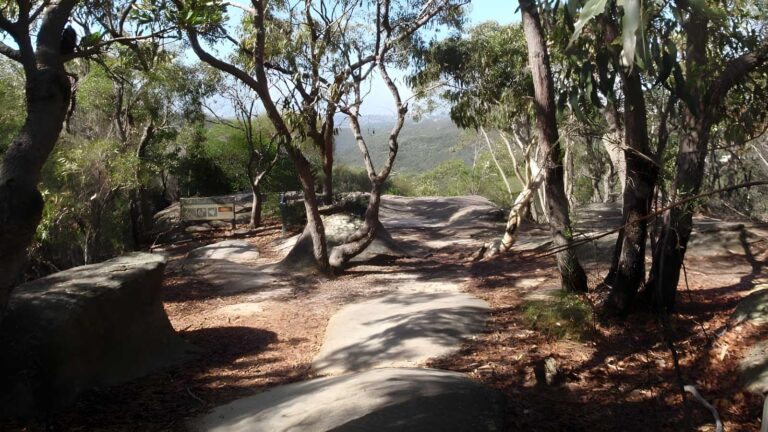 The bluff track (1km)