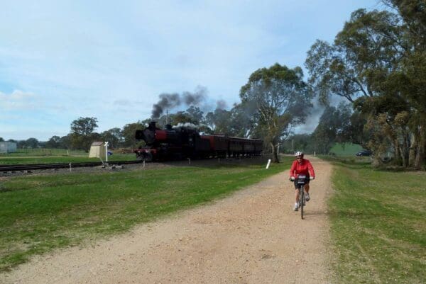Hikes Castlemaine to maldon trail 600x401