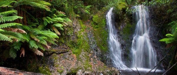 Hikes Hogarth falls trail hiking australia 600x254