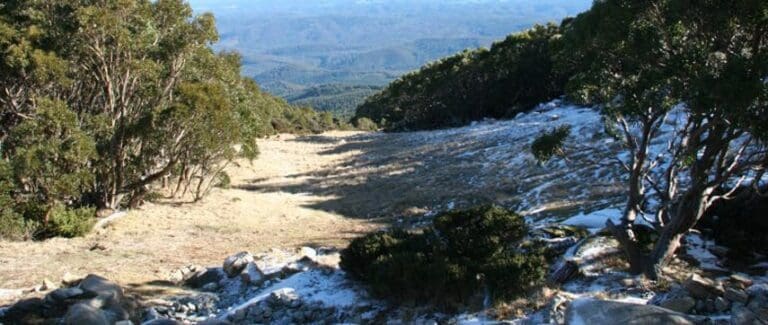 Mount baw baw and st gwinear