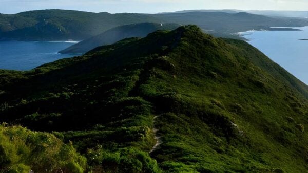 Bald head walk trail (12. 5km)