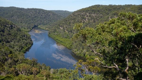 Berowra to berowra waters walk (5. 7km)