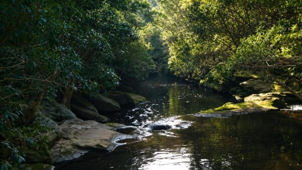 Hornsby station to crosslands hike (16. 1km)