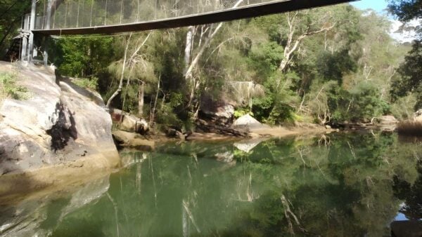 Piles creek loop walk (4. 2km)