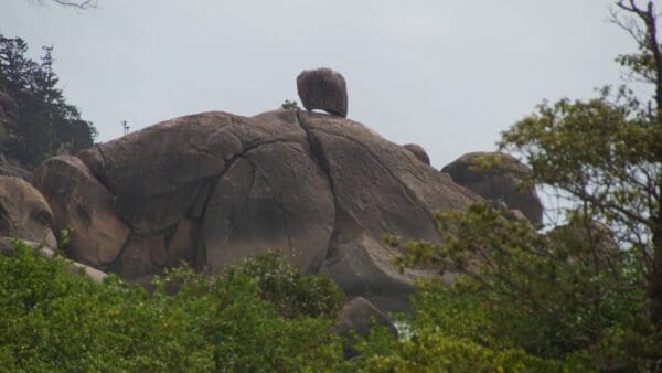 Cape Pallarenda Many Peaks Track (6.2km) Trail hiking magnetic island 19 km 600x338