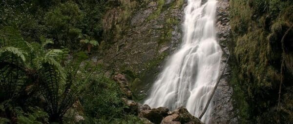 Hikes Montezuma falls trail hiking australia 600x254