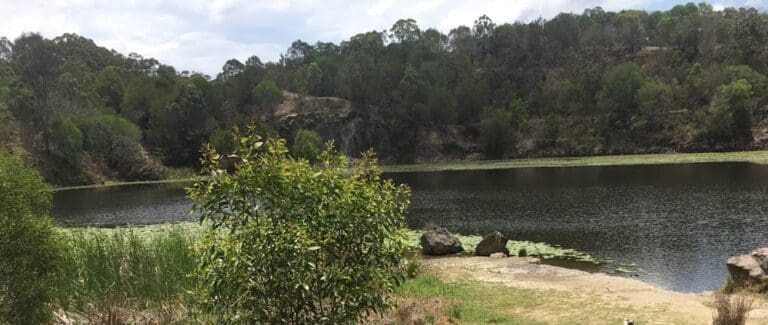 Koala Track (1.6km) Neville lawrie reserve 768x325