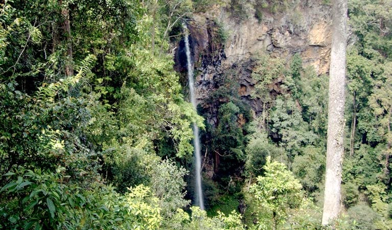 Rawson Falls Walk (5km) Rawson falls walk trail hiking australia