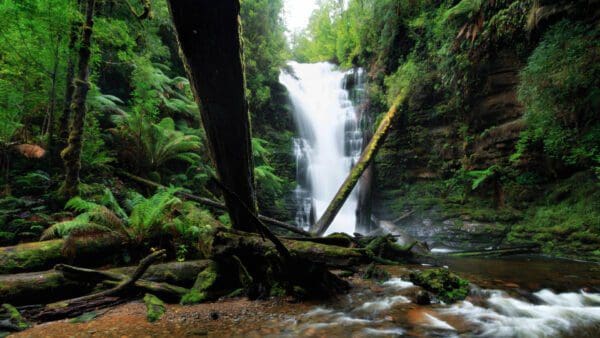 Reuben falls 600x338