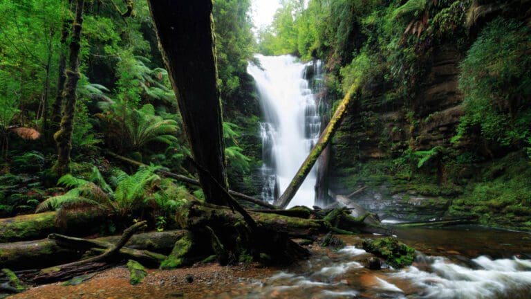 Reuben Falls Walk (2.4km) Reuben falls 768x432