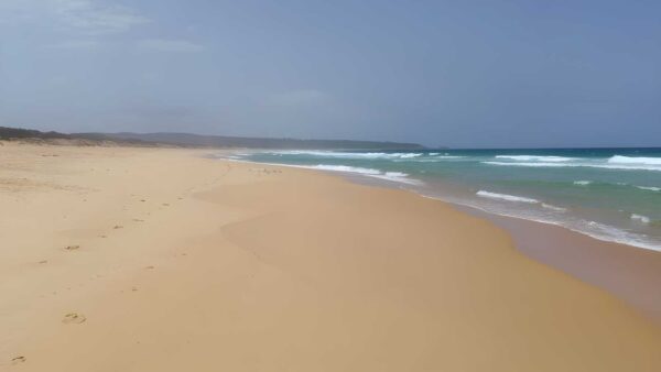 Bournda Beach Car Park to Beach Walk (500m) Bournda beach car park to beach walk (500m)