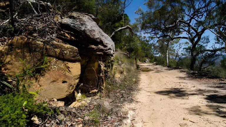 Canoelands ridge walking track (21km)