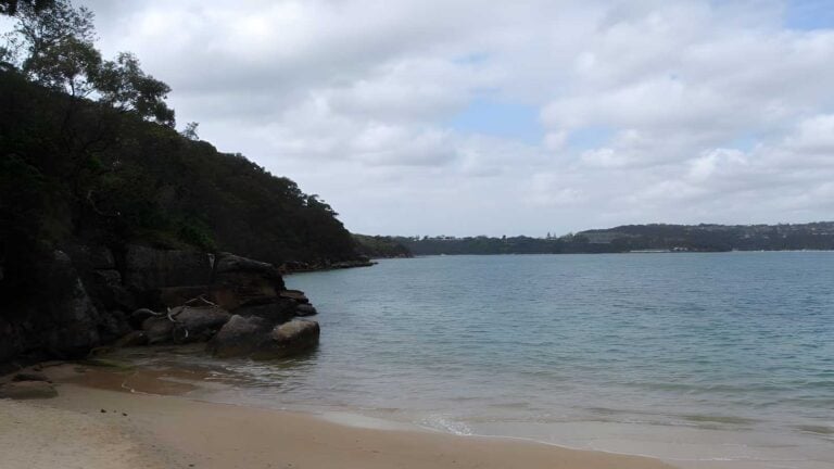 Castle rock beach walk (200m)