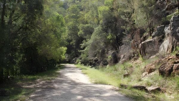 Devines Hill Loop Hike (28km) Devines hill loop hike (28km)