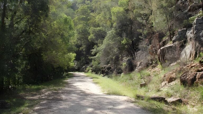 Devines Hill Loop Hike (28km) Devines hill loop hike (28km)