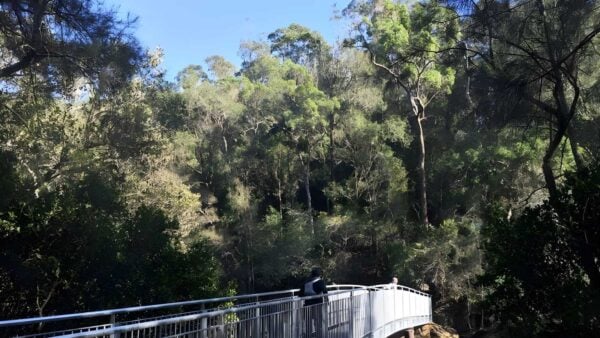 Hornsby to mt kuring-gai hike (22. 3km)